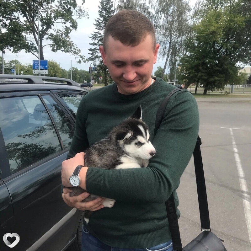 Ваня, Любань