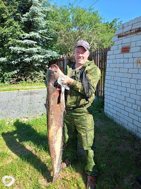 Алексей, 42, Нижнем Новгороде — анкета №1692375