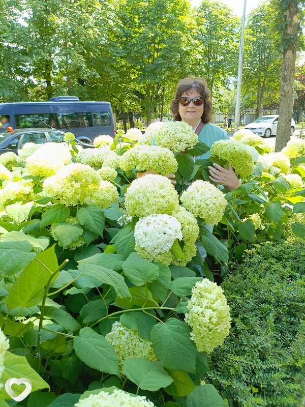 Марина, 60, Белгороде — анкета №1698498