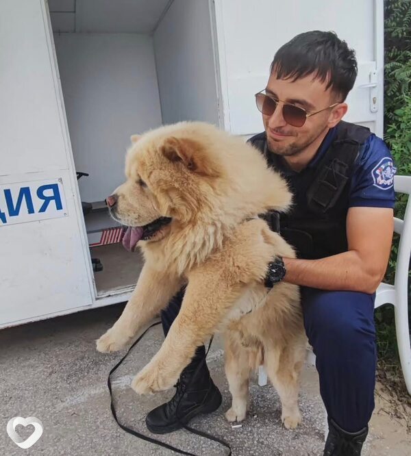 Мартин, Варна
