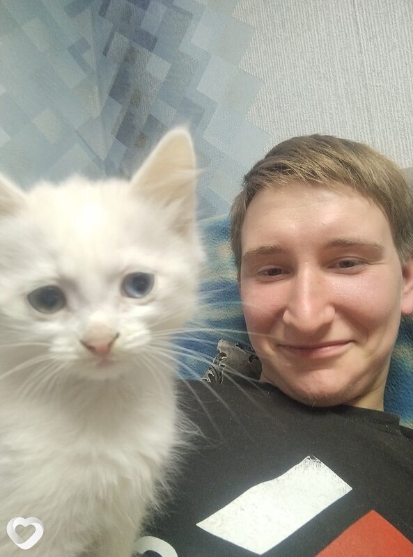 Андрей, 31, Перми — анкета №1702747