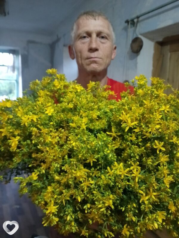 Александр, 52, Крымске — анкета №1704149