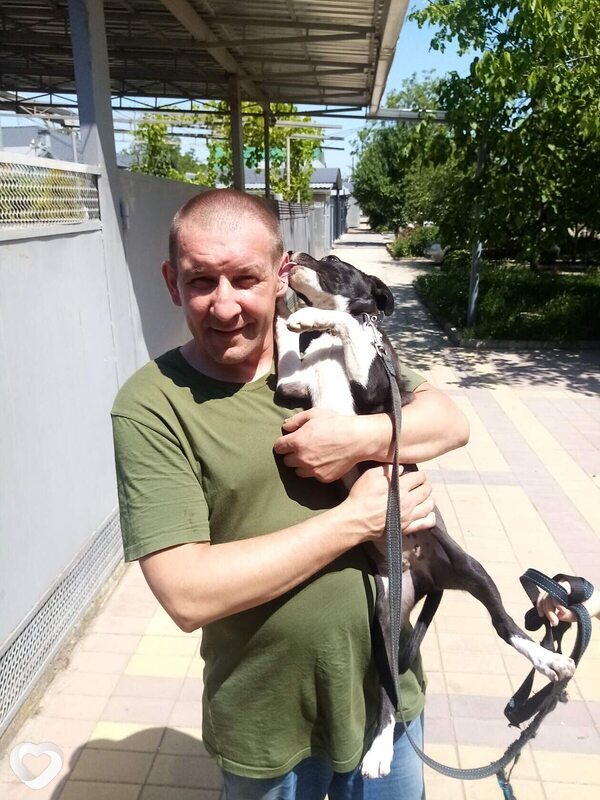 Дмитрий, 40, Майкопе — анкета №1704346