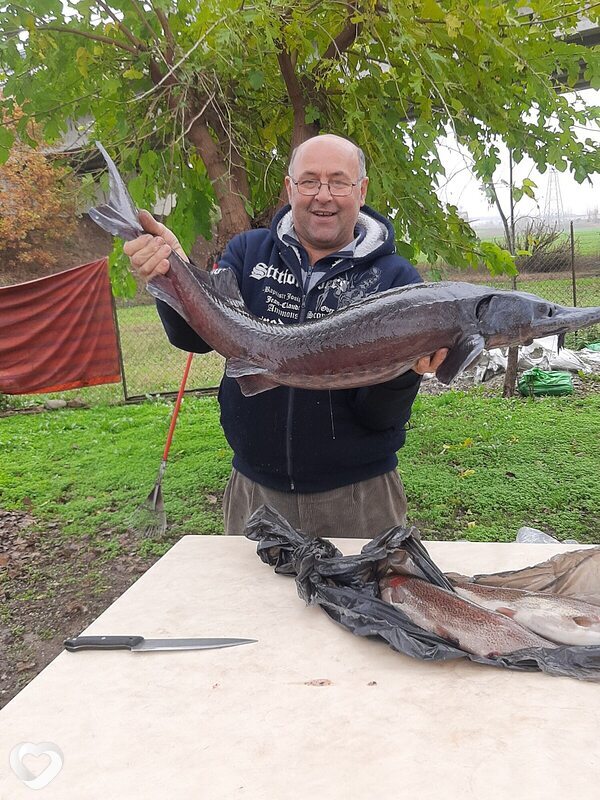 Alexei, 62, Парма — анкета №1705331