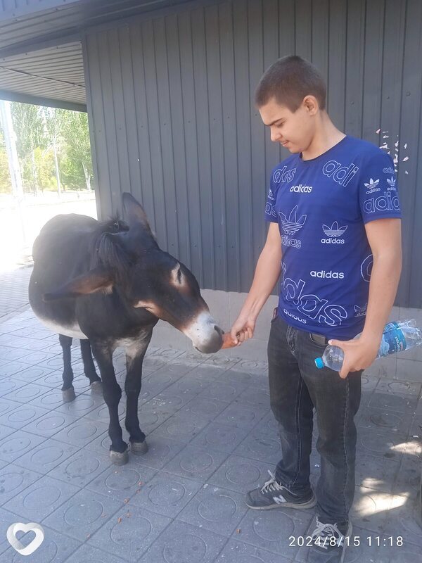 Ярослав, 19, Мариуполе — анкета №1706718