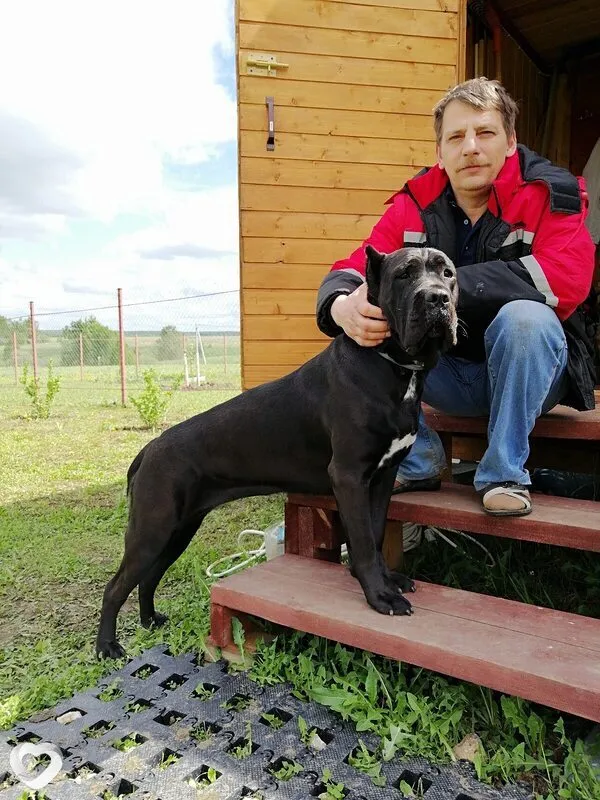 Александр, 52, Москве — анкета №1708882