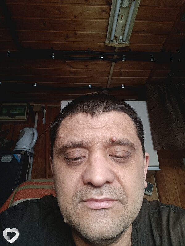 Вадии, Всеволожск