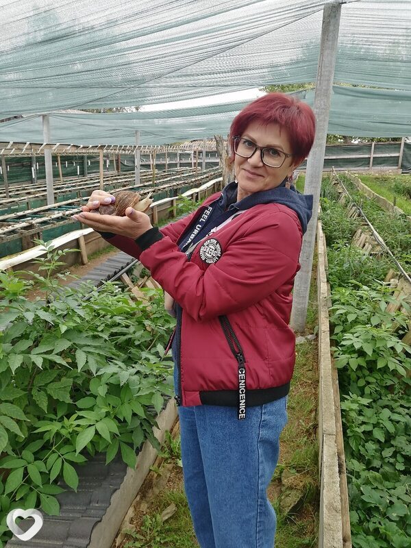 Юлия, 58, Минске — анкета №1721403