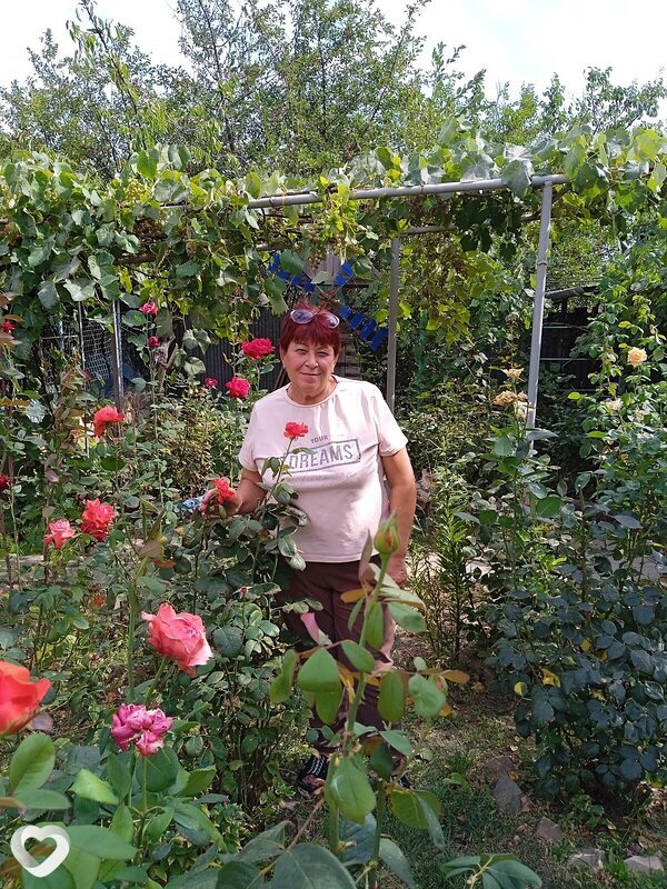 Валентина, 68, Волгограде — анкета №1726274