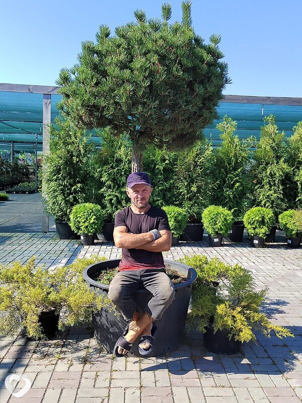 Александр, 44, Курске — анкета №1741404