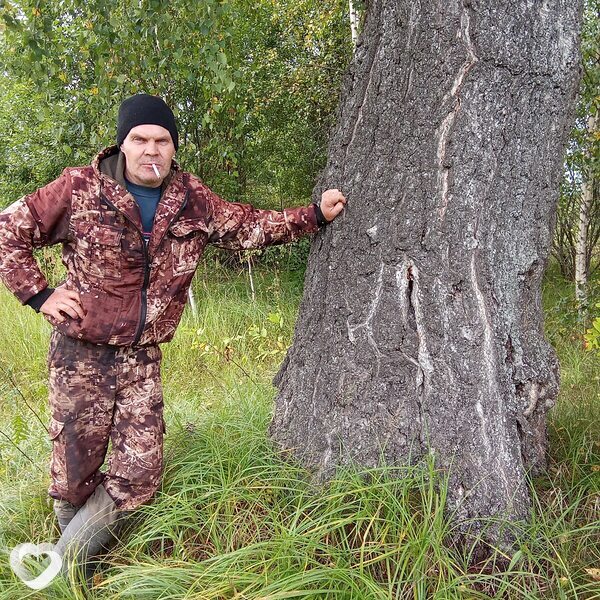Владимир, Кохма