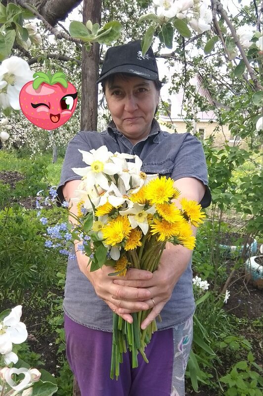 Ирина, Ибреси