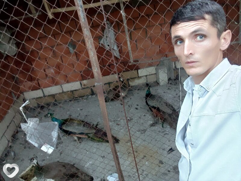 Сакин, 36, Махачкале — анкета №1750496