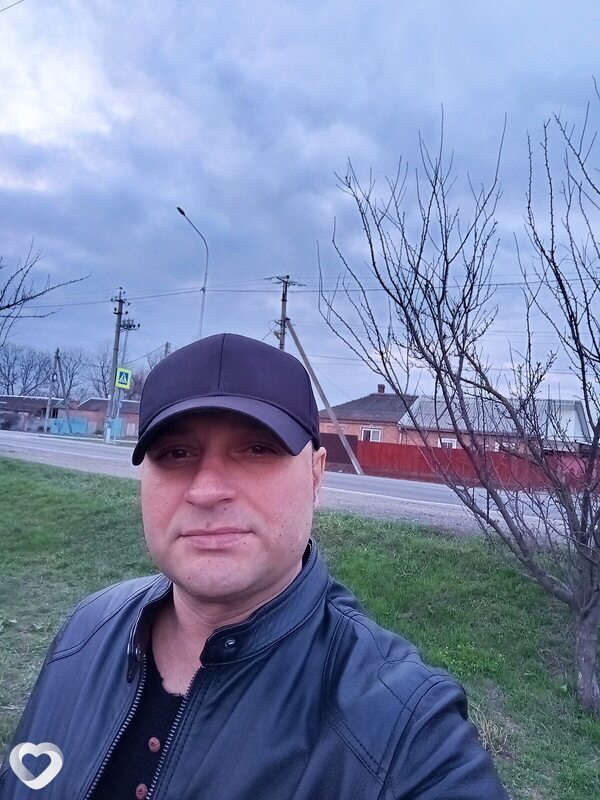 Лев, Ленинградская