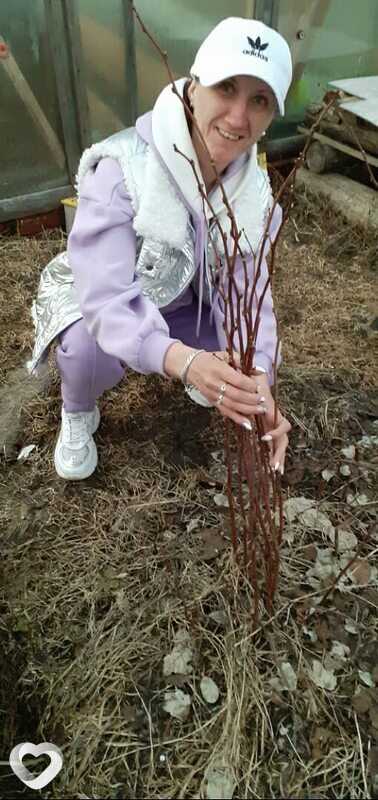 Светлана, 48, Сыктывкаре — анкета №1752442