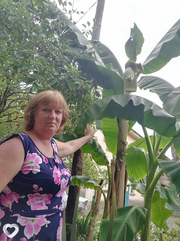 Татьяна, 63, Ярославле — анкета №1760576