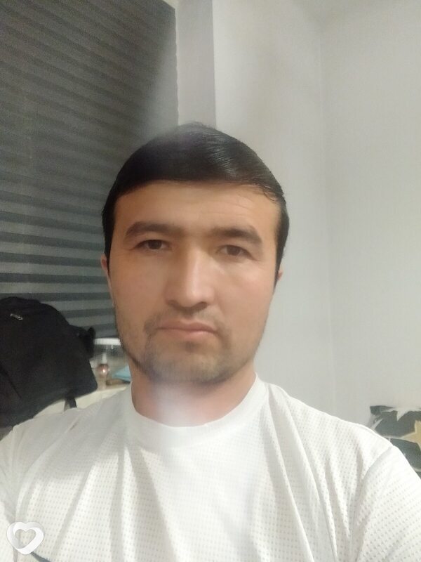 Said, Конские