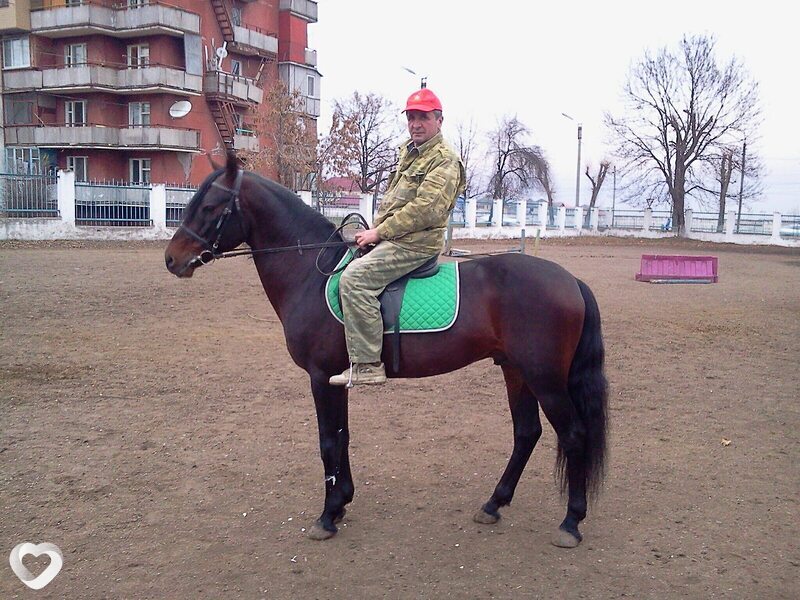 Анатолий, 64, Нальчике — анкета №1766021