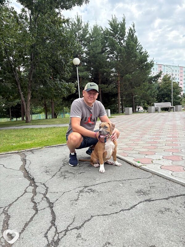 Денис, 40, Новосибирске — анкета №1772078