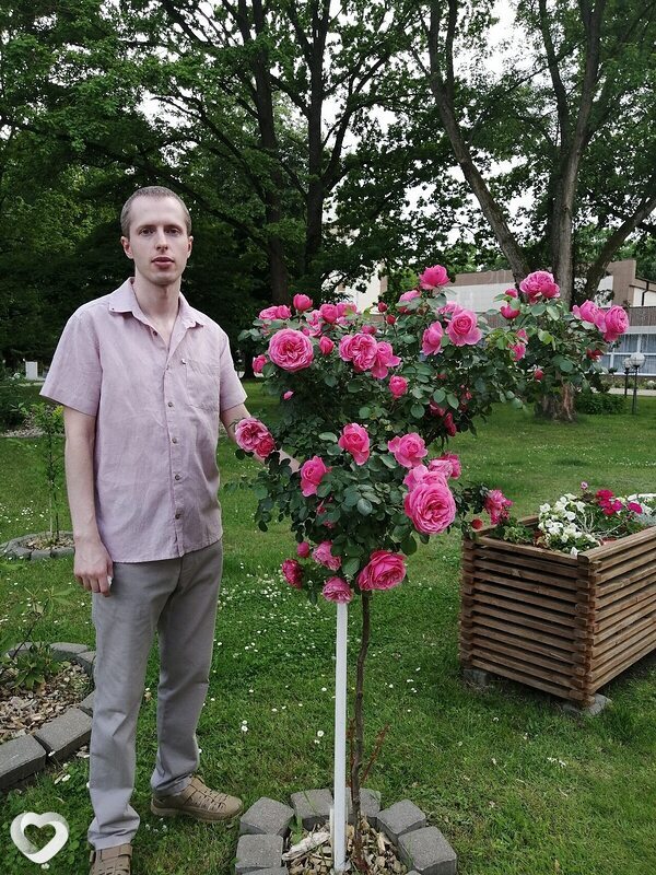 Андрей, 35, Бресте — анкета №1776975