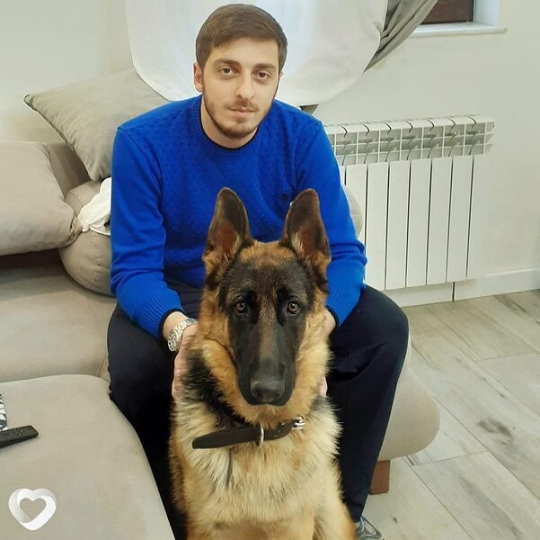 George, Тбилиси