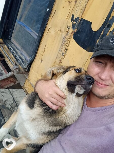 Виталий, 39, Омске — анкета №1779487