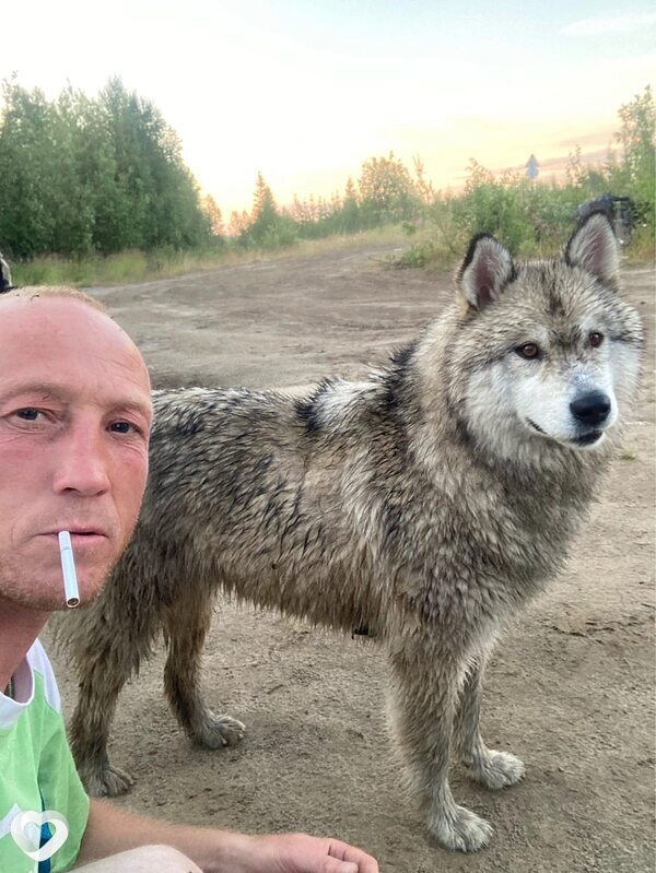 Юрий, 39, Костанае — анкета №1789883