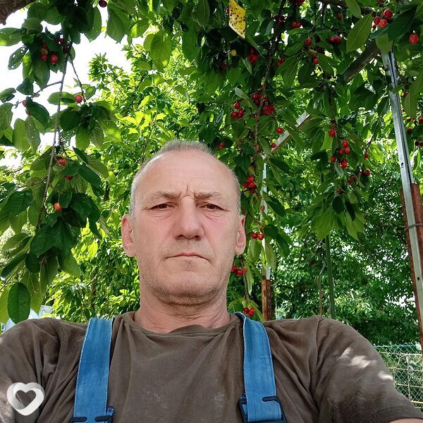 Владимир, Пфорзхейм