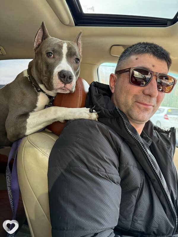 Рафик, 38, Чите — анкета №1804423