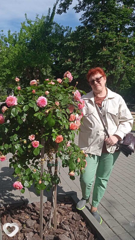 Настюха, Химки