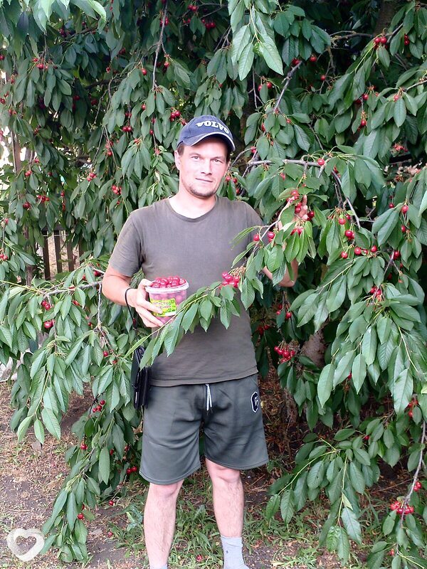 Дмитрий, 32, Шахтах — анкета №1823286