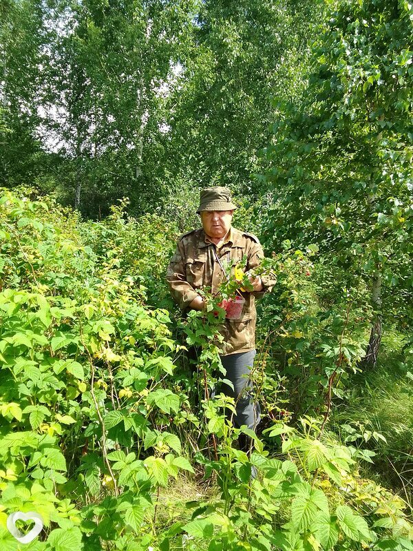 Дмитрий, 67, Омске — анкета №1826688