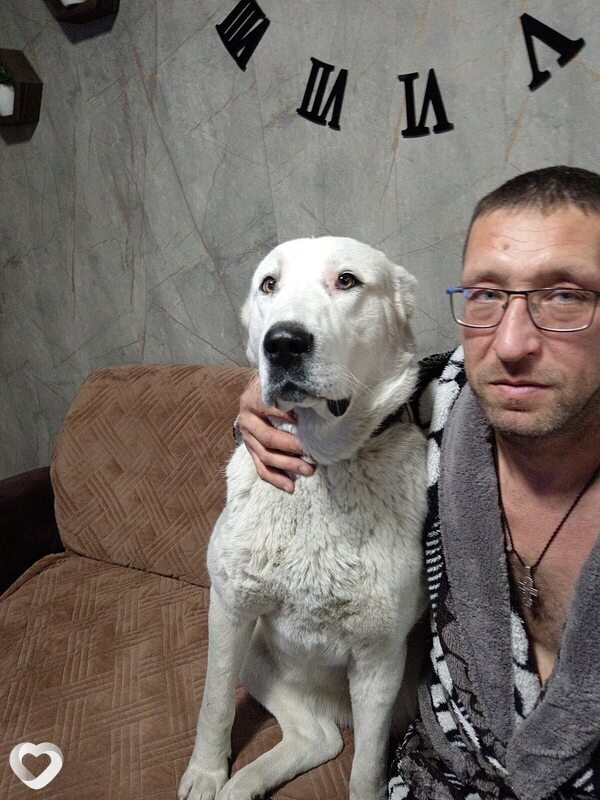 Алексей, 42, Комсомольске-на-Амуре — анкета №1841039