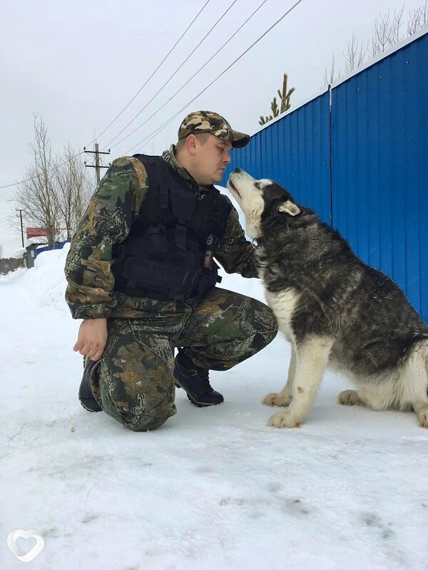 Александр, Сарапул