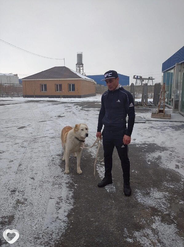 Беймурат, 38, Шымкенте — анкета №1842043