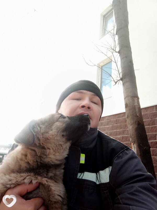 Рамиль, 39, Уфе — анкета №1847282