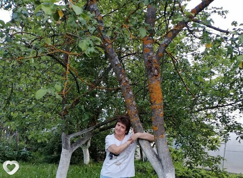 Таня, Шуя