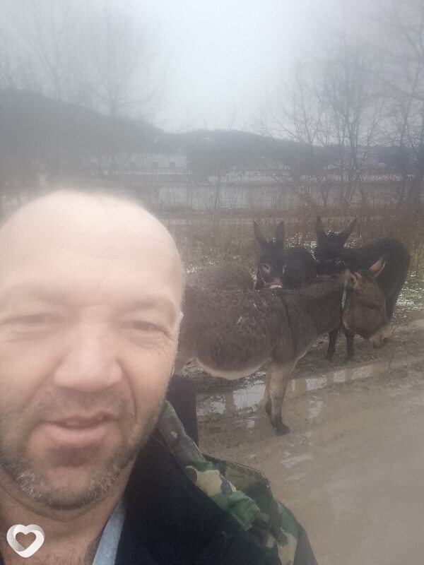 Florin, Târgoviște