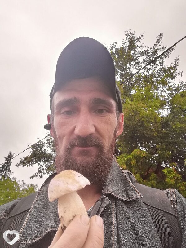 Михаил, 45, Арамиле — анкета №1860790