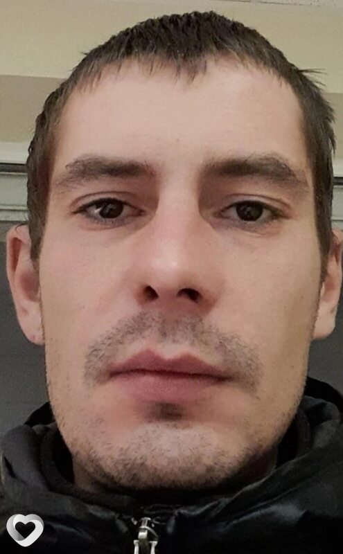Дмитрий, Ломоносов