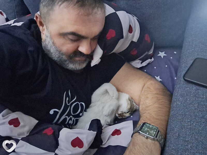 Davit, Прушков