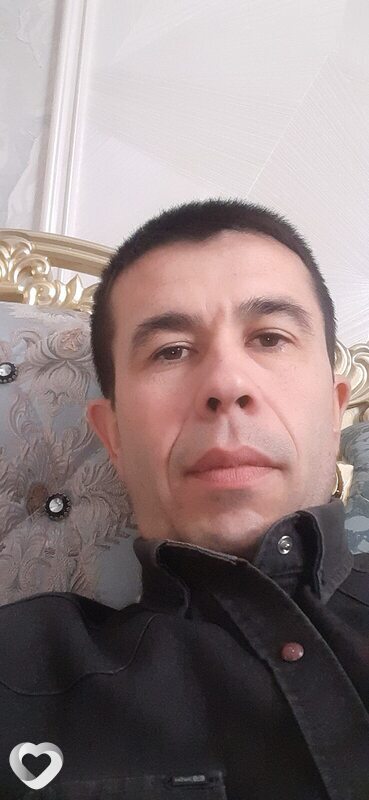 Лев, Хива