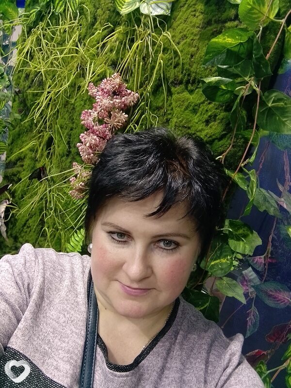 Елена, Дмитров