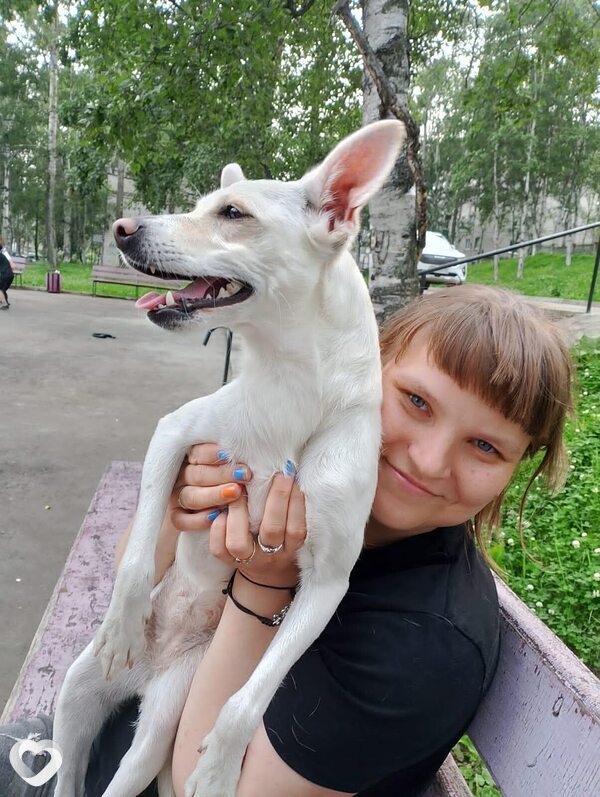 Алёна, Ванино