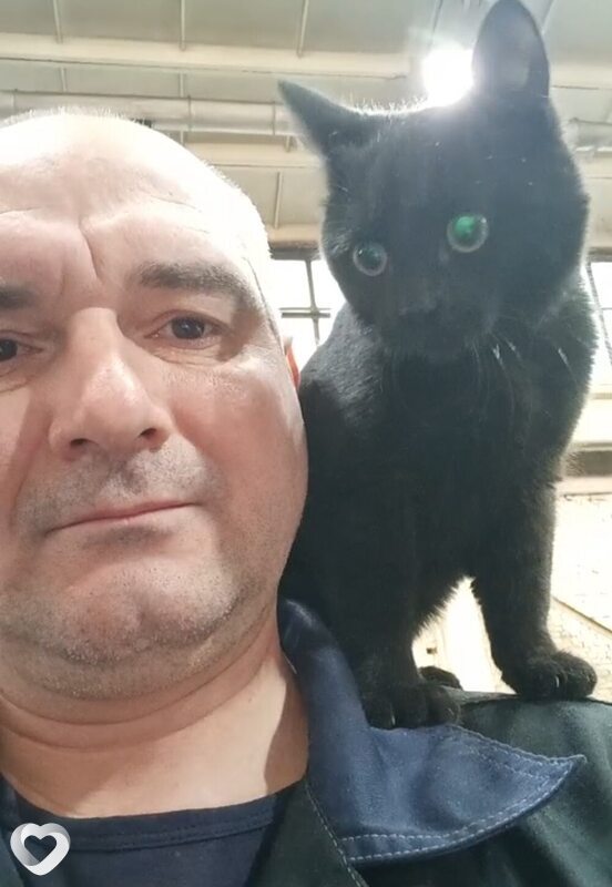 Олег, 45, Асбесте — анкета №1902330