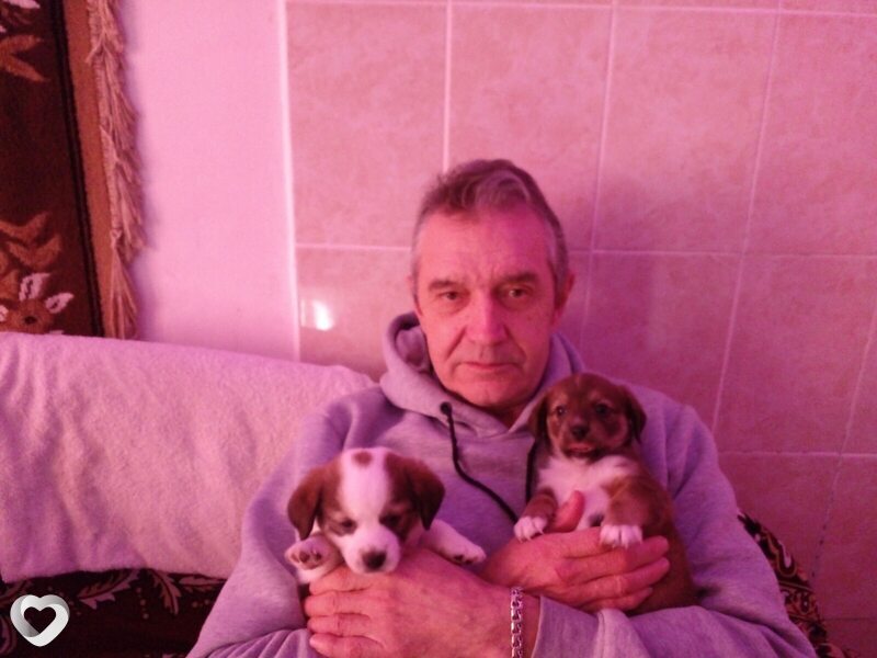 Валерий, 66, Севастополе — анкета №1902478