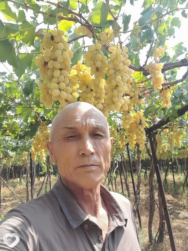 Тахир, Наманган