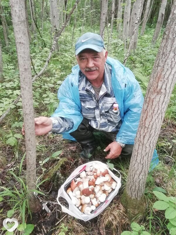 Владимир, Бронницы