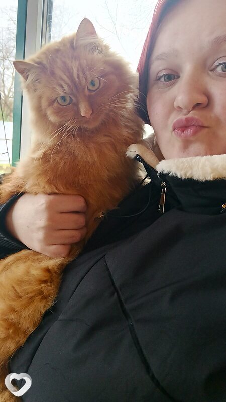 Анна, Богородицк