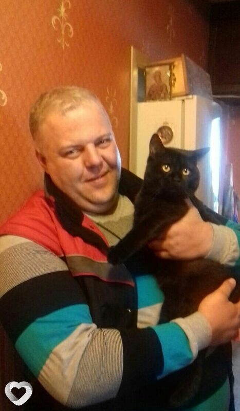 Дмитрий Поляков, Новосиль